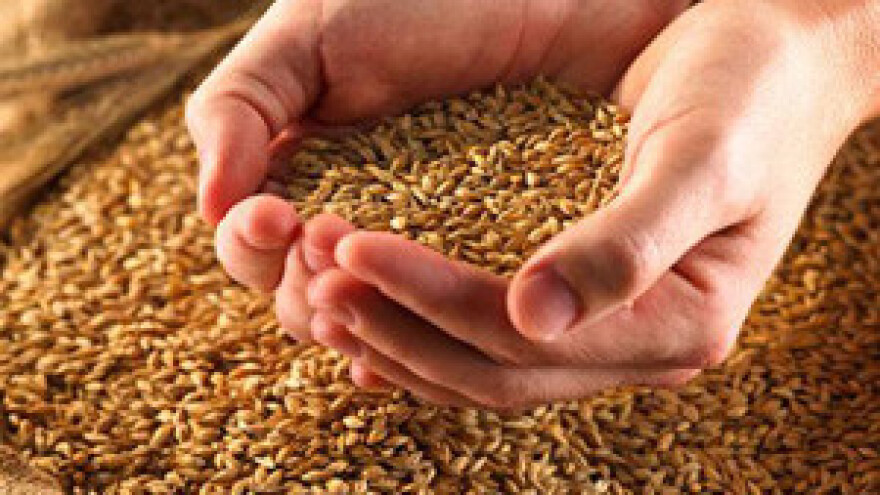 Kad izvoz poraste 300 posto