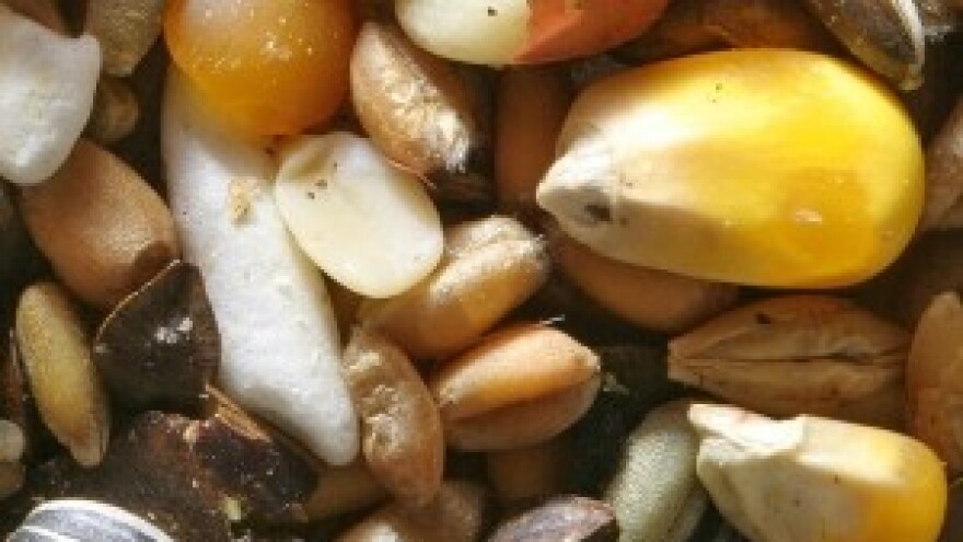 Hoće li nova regulativa uništiti autohtone sorte?