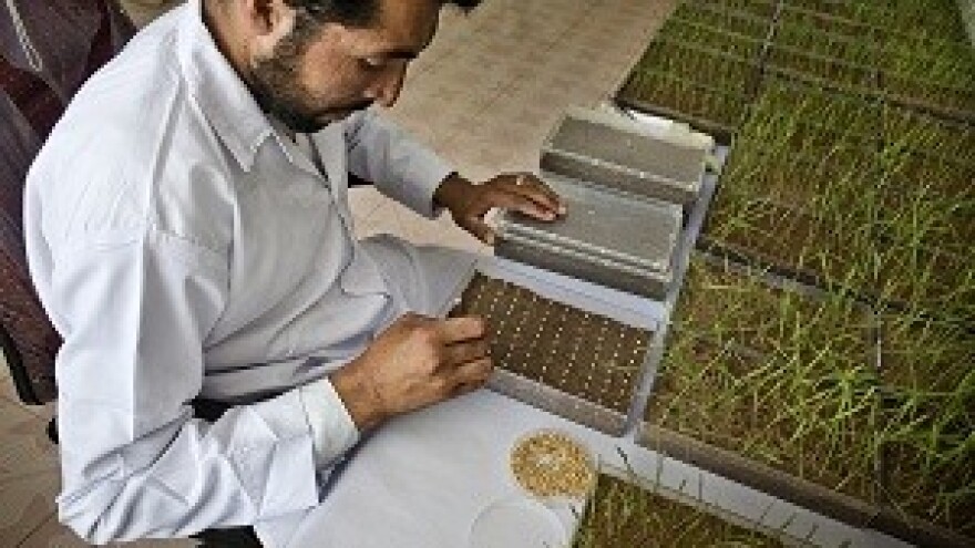 Privatizirana posljednja tvrtka IPK Osijek