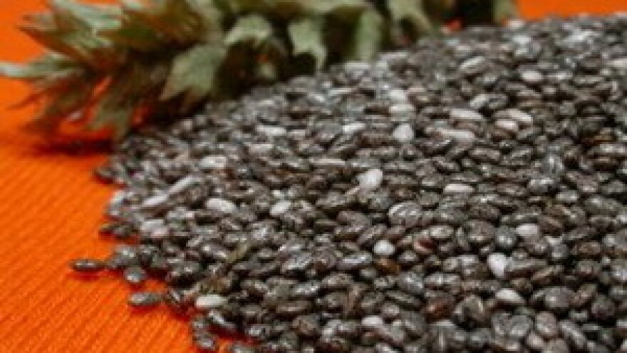 Kongres "Oplemenjivanje bilja, sjemenarstvo i rasadničarstvo"