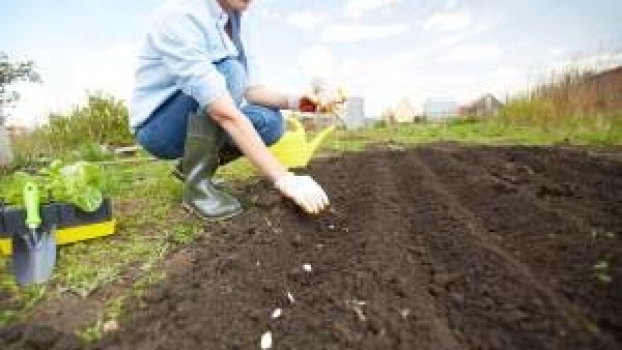 Malo je veliko u poljoprivredi