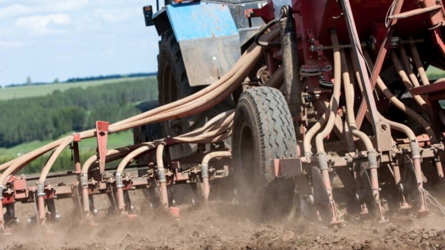 Zašto preferiramo određene sorte sjemena?