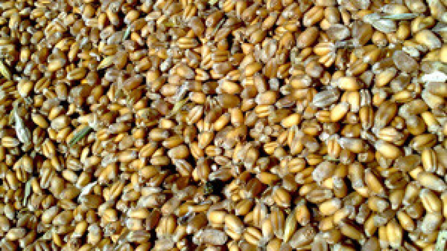 U Osijeku otvoren pogon za doradu sjemena