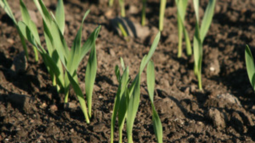 Poljoprivredni institut Osijek širi poslovanje