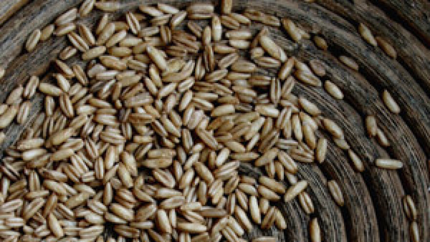 Neizvjesna sudbina Sjemenarstva