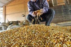Monsanto povećao ponudu za Syngentu