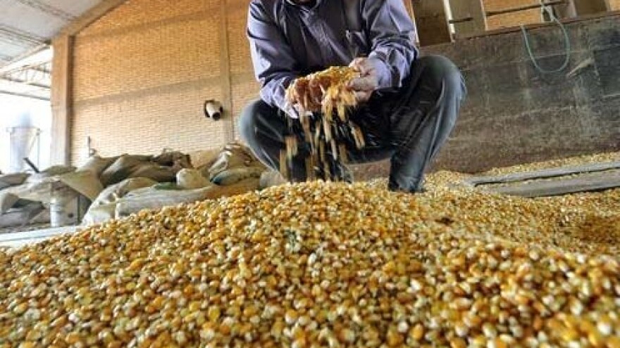 Monsanto povećao ponudu za Syngentu