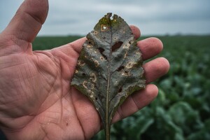 Sjemenari prebacili lopticu zaštitarima!