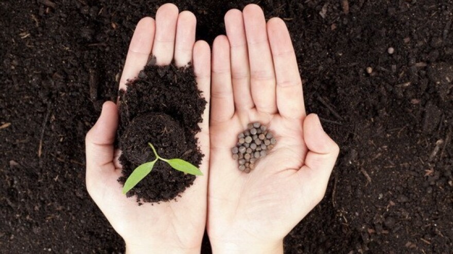 Moramo zaštititi autohtone sorte hrvatskog sjemena