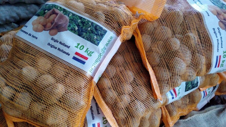 Cijene sjemenskog luka i krompira duplo veće u odnosu na prošlu godinu