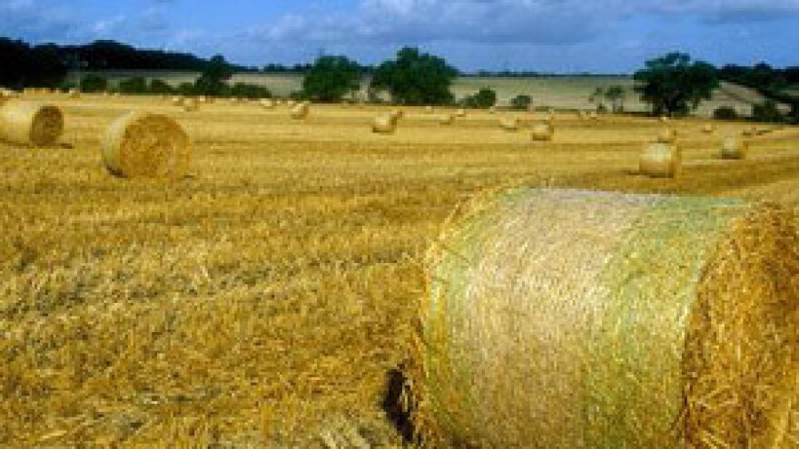 Pred početak spremanja sjenaže