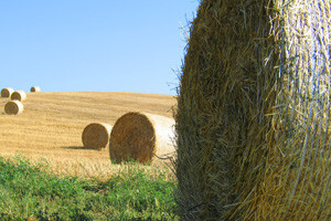 Podaci za pristup AGRONET-u poslani na kućne adrese