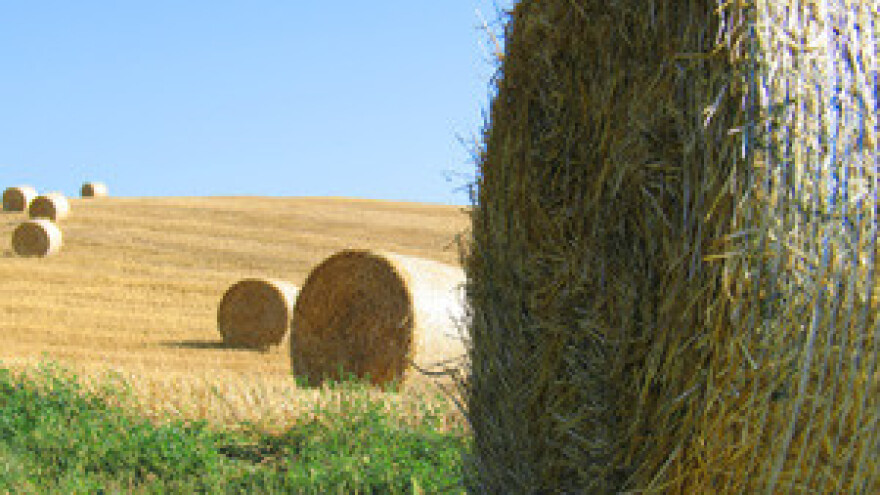 Podaci za pristup AGRONET-u poslani na kućne adrese