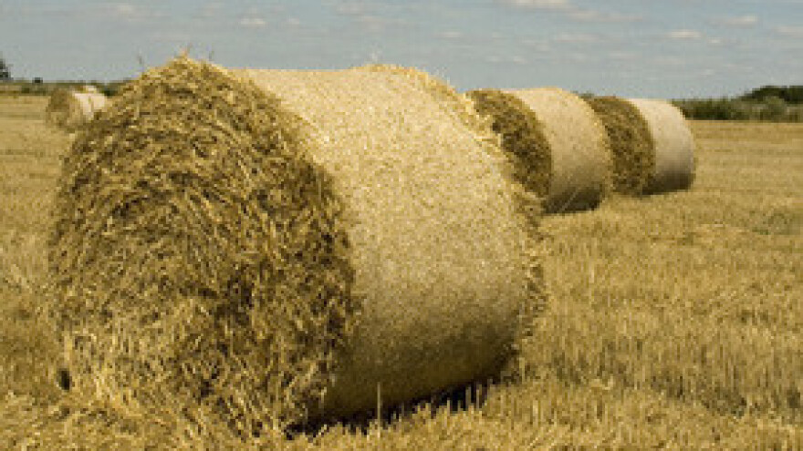 Od lipnja novi natječaji za Ipard