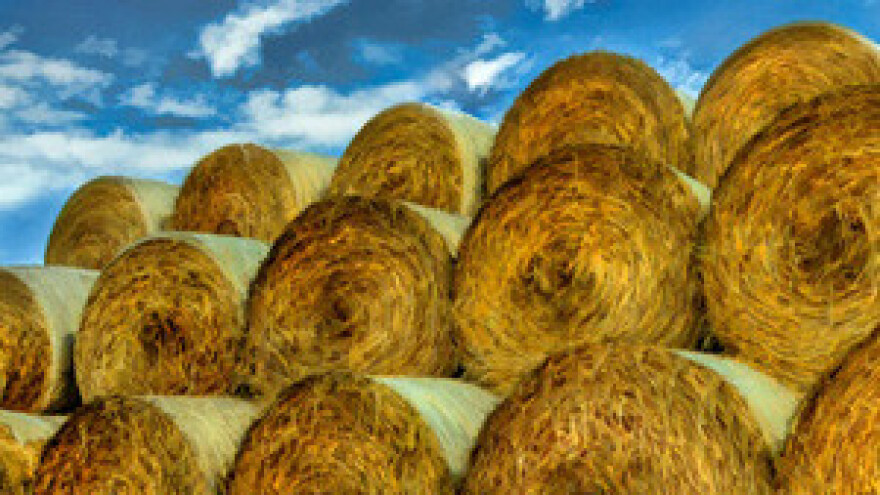 Poljoprivredno-poduzetničke ideje Nova Gradiška 2012