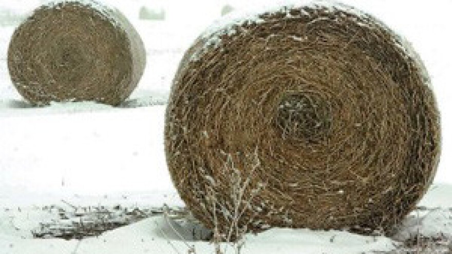 Tihomir Jakovina odžati će konferenciju za novinare