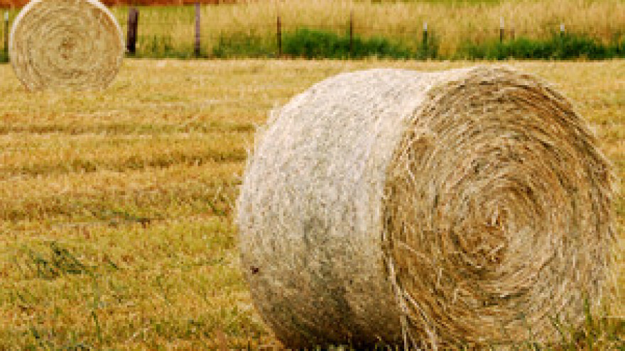 Ministar Jakovina: Naslijedili smo obveze od 1.134.000.000 kuna