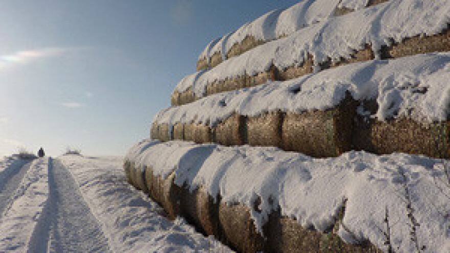Nema prodaje poljoprivredne zemlje strancima