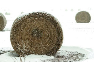 IPARD: Trima općinama 5,8 mil. kuna