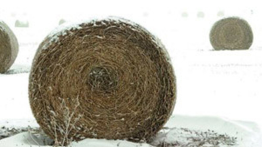 IPARD: Trima općinama 5,8 mil. kuna