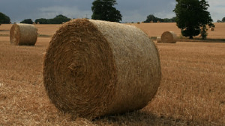 Jakovina s sastaje ministrom Šarovićem