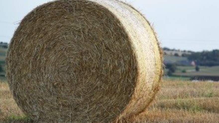 Ministar Jakovina: Kriv je Čobanković