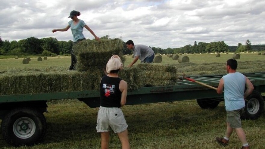EABRD podržava male poduzetnike!