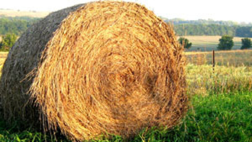 Odluka o privremenom raspolaganju poljoprivrednim zemljištem