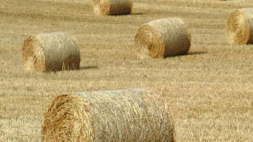 Nikad više poljoprivrednih zadruga s manje prometa i zadružne imovine