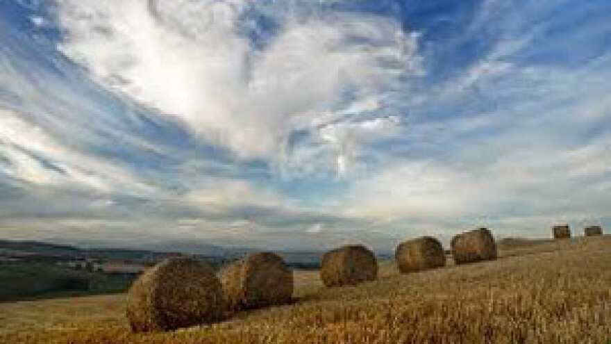 Novi IPARD natječaji za mjere 101, 103 i 302