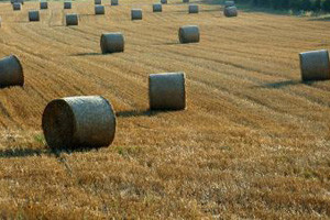 Grčki poljoprivrednici moraju vratiti 425 mil. eura