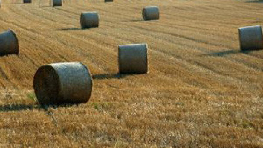 Grčki poljoprivrednici moraju vratiti 425 mil. eura