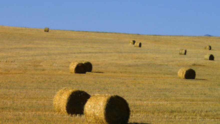 Male poljoprivrednike poticat će se na prodaju zemljišta