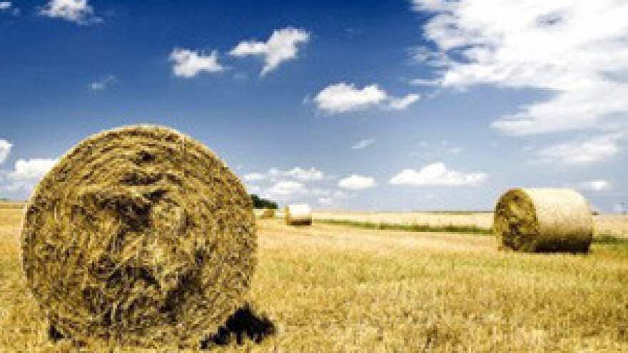 Obustavljena dodjela poljoprivrednog zemljišta