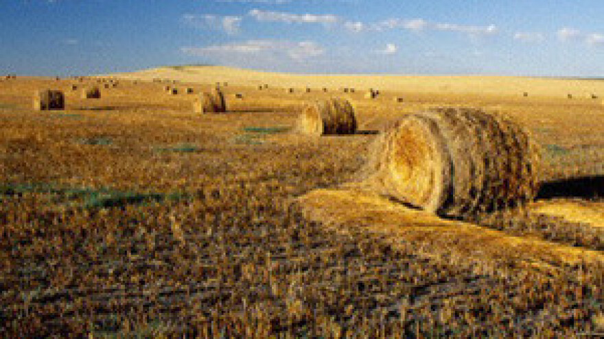 Bajs: Zaustavljanje prodaje i zakupa zemljišta je štetno i nezakonito