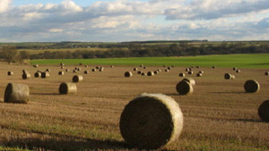 Poljski poljoprivrednici su najviše profitirali od Europske Unije