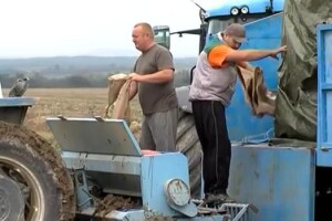 Hoćemo li sljedeće godine uvoziti pšenicu?
