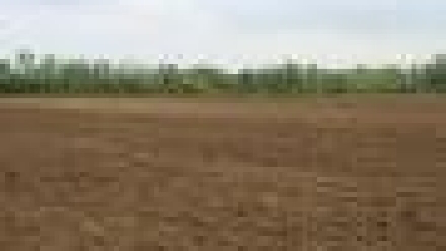 Nestašica goriva zaustavila sjetvu pšenice