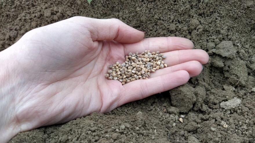 Zakon o sjemenu na okruglom stolu: Ima li zajedničkog rješenja?