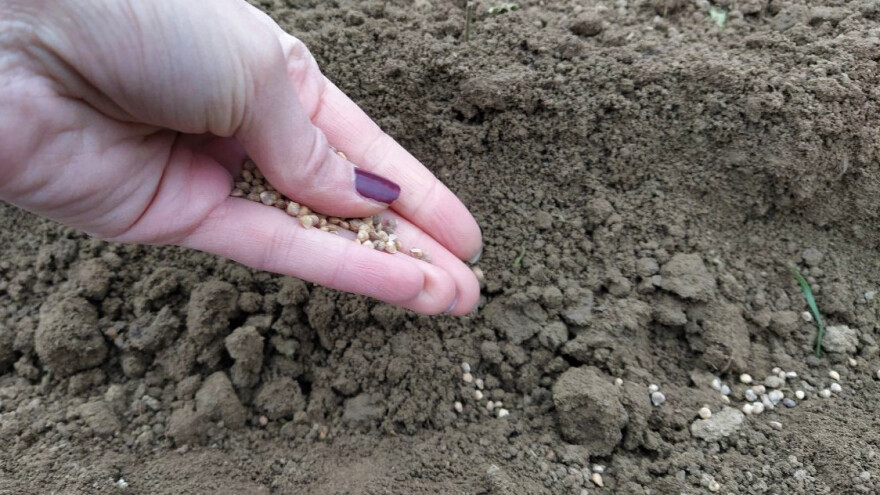 Izglasan Zakon o sjemenu, sadnom materijalu i priznavanju sorti poljoprivrednog bilja