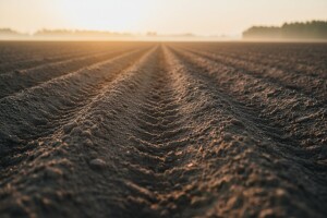Sjetva kukuruza je u tijeku, vrijeme je za odabir zemljišnog herbicida
