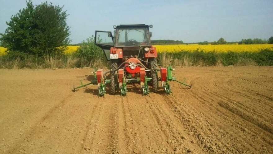 Smanjenje površina pod kukuruzom do 20.000 ha?