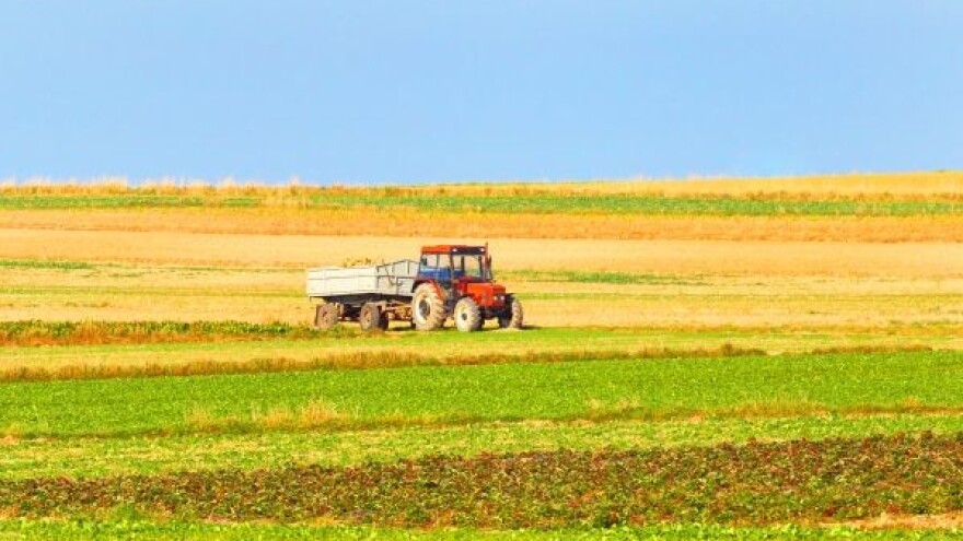 Kasnija setva lucerke nije dobro rešenje