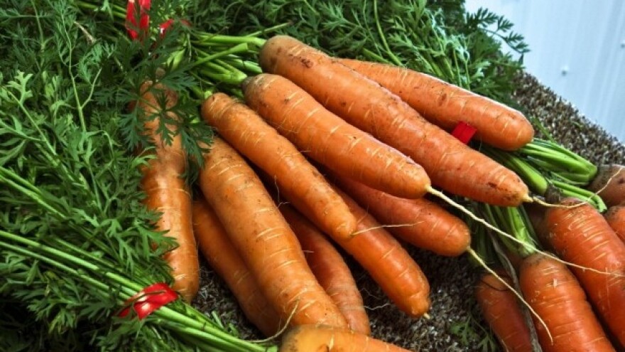 Kako na prirodan način uzgojiti mrkve?