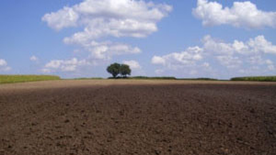 Seljaci siju tavanušu