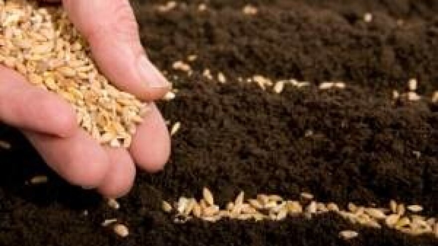 Reakcija udruga na uredbu o regulaciji tržišta sjemena