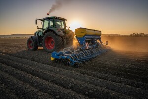 Sjetva uljane repice