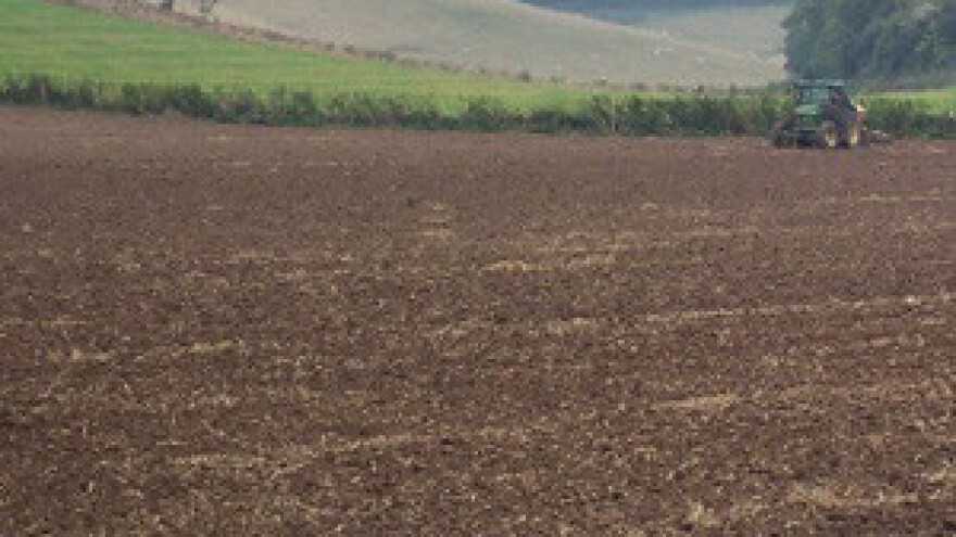 Sjetva pšenice moguća do kraja siječnja