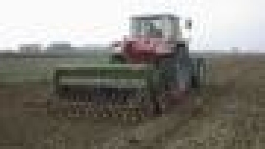 Redukcija proljetne sjetve?