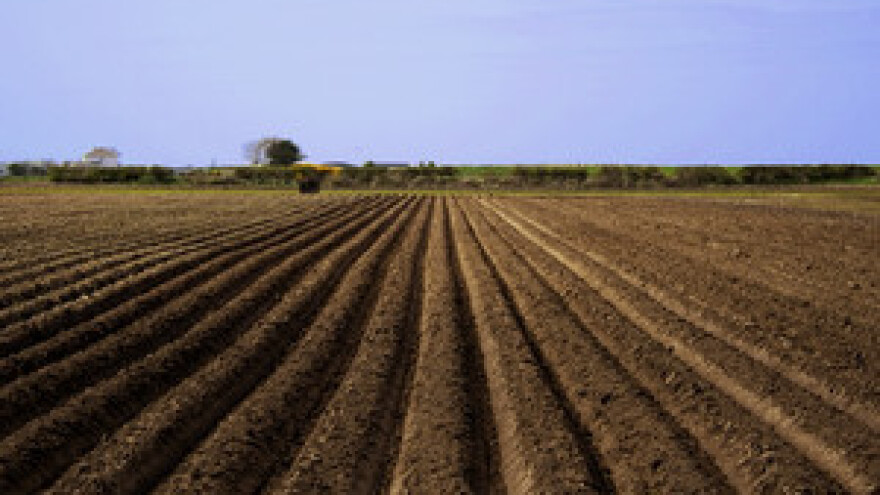 S gubicima u jesensku sjetvu